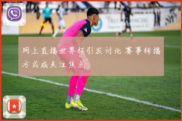 网上直播世界杯引发讨论 赛事转播方式成关注焦点