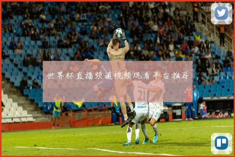 世界杯直播频道视频观看平台推荐