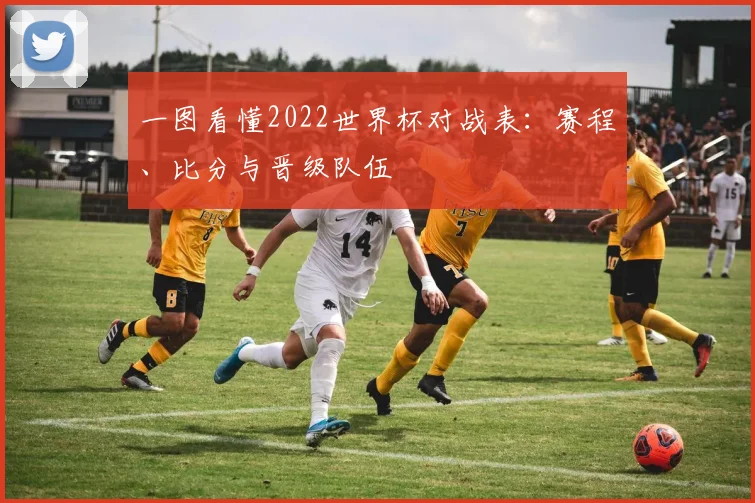 一图看懂2022世界杯对战表：赛程、比分与晋级队伍