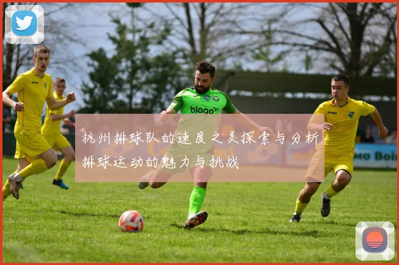 杭州排球队的速度之美探索与分析排球运动的魅力与挑战
