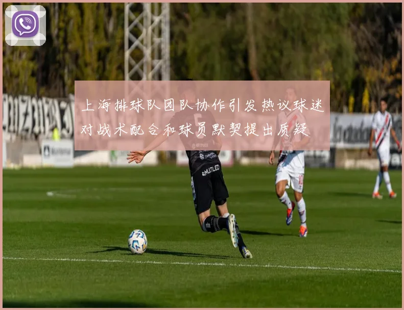 上海排球队团队协作引发热议球迷对战术配合和球员默契提出质疑