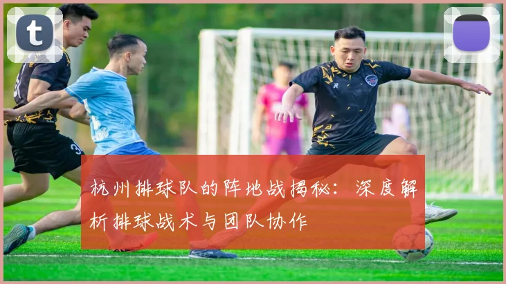 杭州排球队的阵地战揭秘:深度解析排球战术与团队协作