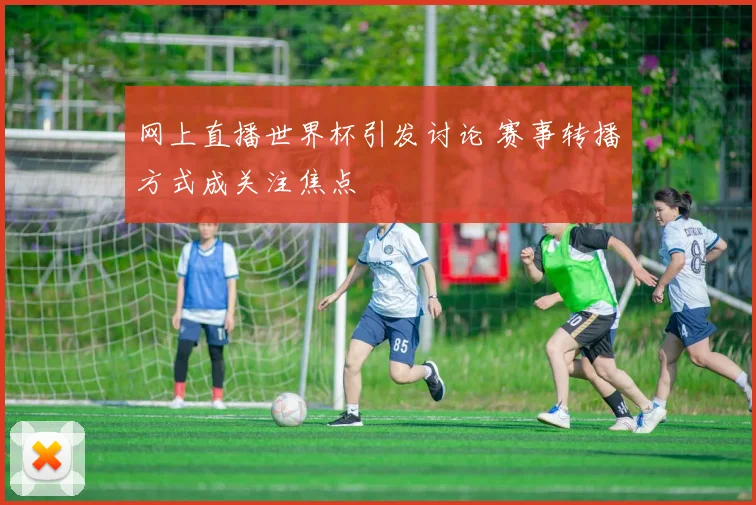 网上直播世界杯引发讨论 赛事转播方式成关注焦点