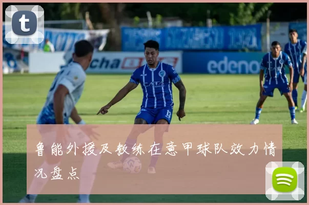 鲁能外援及教练在意甲球队效力情况盘点