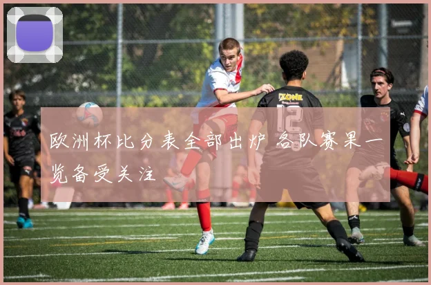 欧洲杯比分表全部出炉 各队赛果一览备受关注