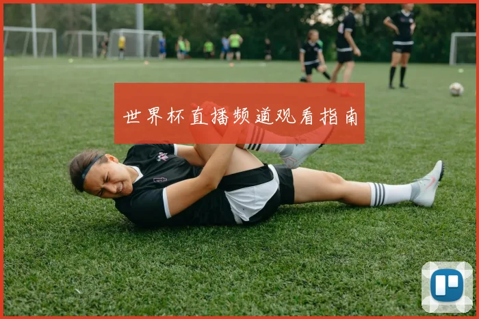 世界杯直播频道观看指南