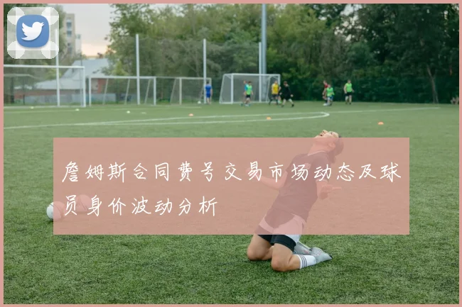 詹姆斯合同费号交易市场动态及球员身价波动分析