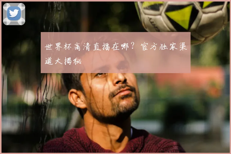 世界杯高清直播在哪?官方独家渠道大揭秘