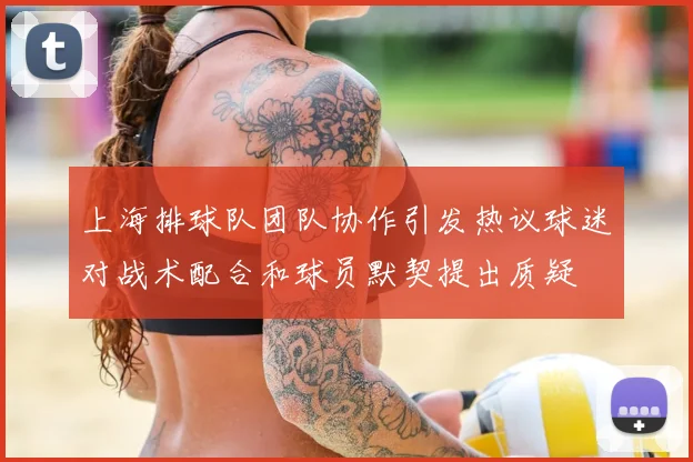 上海排球队团队协作引发热议球迷对战术配合和球员默契提出质疑